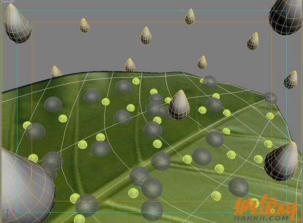 樹葉水滴效果-3ds Max教程 - 3D動(dòng)畫教程 -  181_22c98114.jpg