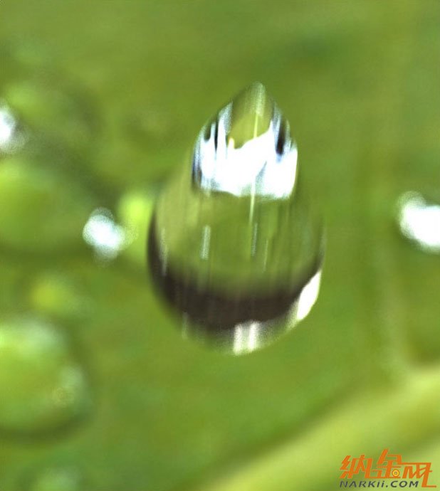 樹葉水滴效果-3ds Max教程 - 3D動(dòng)畫教程 -  182_585649f2.jpg